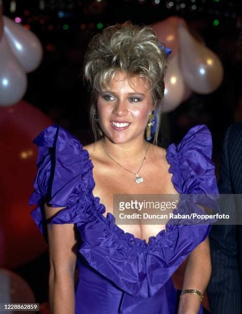 samantha fox bikini|268 Samantha Fox Singer Stock Photos & High